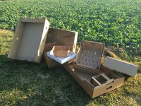 Žemės ūkio dėžės, pakuotės