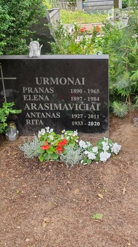 Raidžių kalimas ant paminklo Vilnius