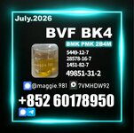 CAS 49851-31-2 bvf 2b4m Bulk Price Available