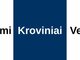 Papildomi kroviniai ir siuntos Vežėjams Lietuva - Europa -