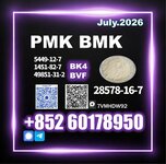 CAS 28578-16-7 New PM.K B.MK Proven supplier