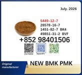Cheapest price cas 5449-12-7 and 28578-16-7 BMK PMK powder