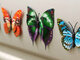 3D Sienos lipdukai "Dvigubi drugeliai"