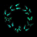 3D sienos lipdukai drugeliai šviečiantys tamsoje, 6 vnt.