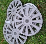 Gaubtai R13