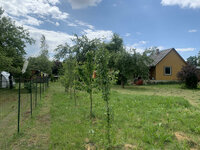 Sodo namas Panevėžio rajono sav., Kaubariškyje, Lanko al.