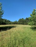 Sodyba Trakų rajono sav., Tolkiškėse, Verniejaus g.