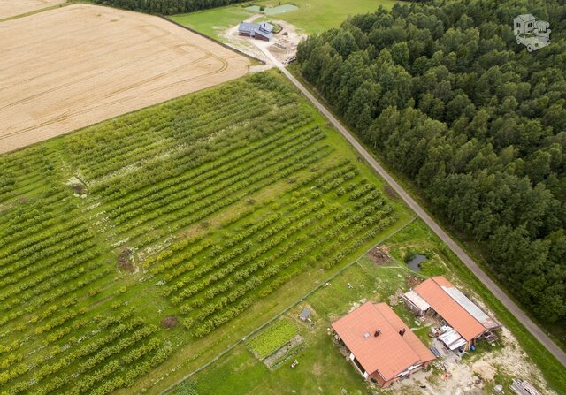 Sklypas Kretingos rajono sav., Rubuliuose, Pievų g.