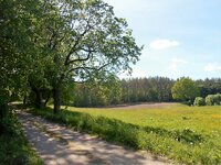 Sklypas Anykščių rajono sav., Jakšiškyje
