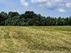 Sklypas Klaipėdos rajono sav., Žvelsėnuose, Lankų g.