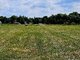 Sklypas Klaipėdos rajono sav., Žvelsėnuose, Lankų g.