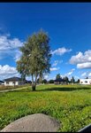 Sklypas Klaipėdos rajono sav., Klemiškė II, Žaibo g.