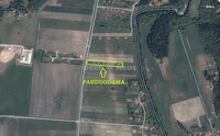Sklypas Klaipėdos rajono sav., Traubiuose, Ąžuolų g.