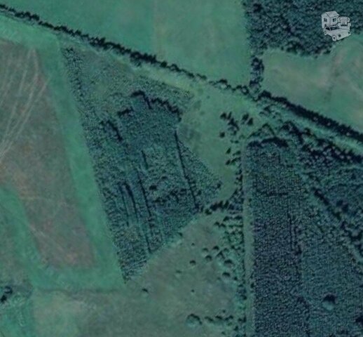 Sklypas Tauragės rajono sav., Šakvietyje