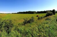 Sklypas Klaipėdos rajono sav., Letūkuose, Gibišų g.