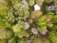 Sklypas Vilniaus rajono sav., Rukainiuose, Kunigo Povilo Ksavero Bžostovskio g.