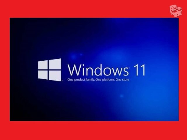 Windows 11, Windows 10, Windows 8.1, macOS
