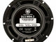 DLS MB6.2