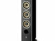 Focal Aria Evo X N°2