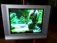 Samsung CZ-21A113N televizorius